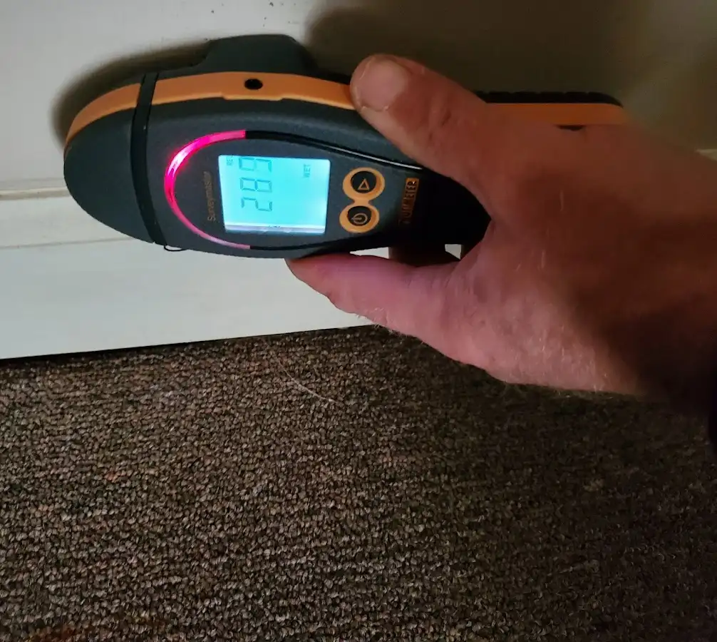 Moisture detection at baseboard during Sewage Cleanup & Sanitation in Groton