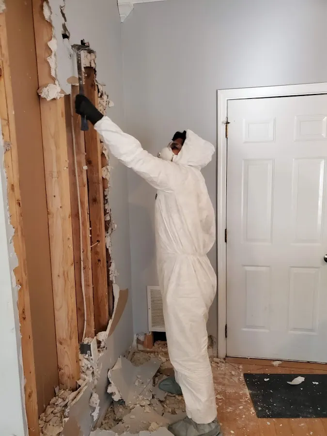 Mold Remediation & Removal in Groton, NY
